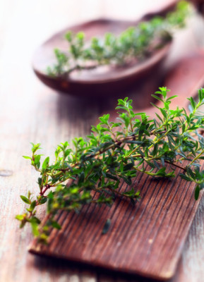 Exemple de tisane de thym - Ã©quilibrer mÃ©tabolisme d'un type glandulaire